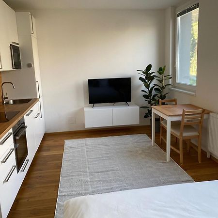 Vila Vinice Prag Exteriör bild